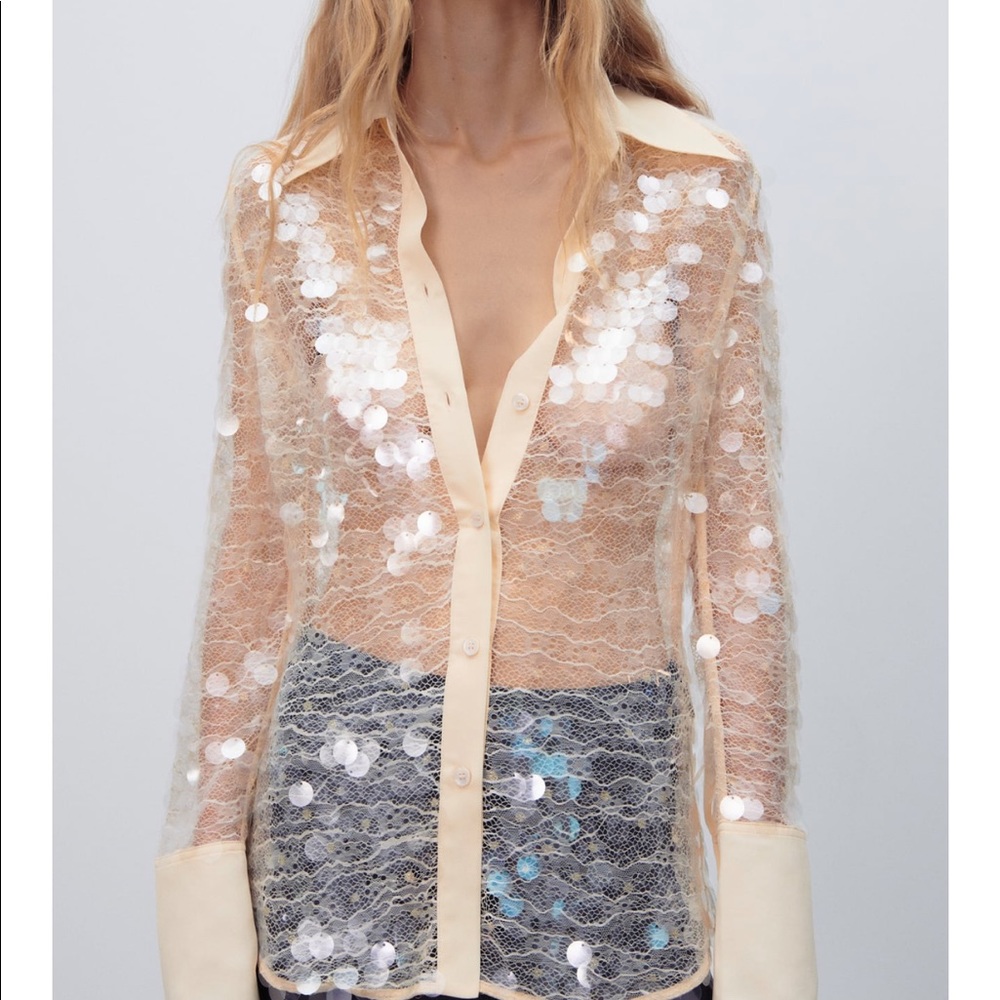 Semi sheer sequin to by Zara sold out everywhere XL fit M